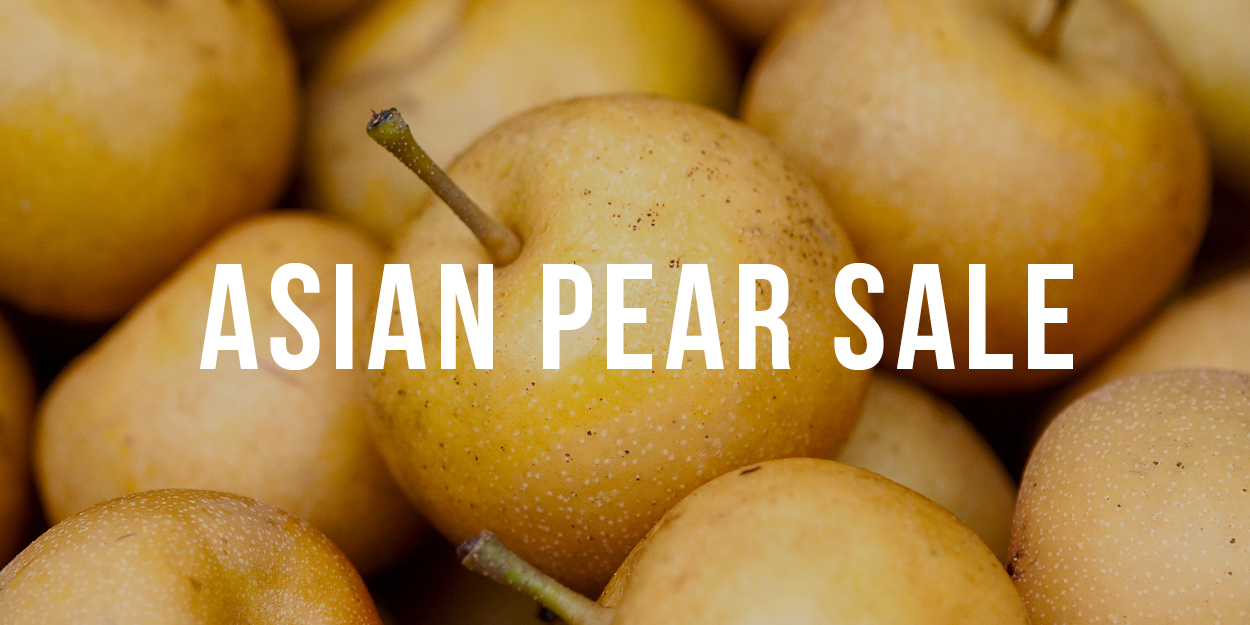 Asian Pear Sale